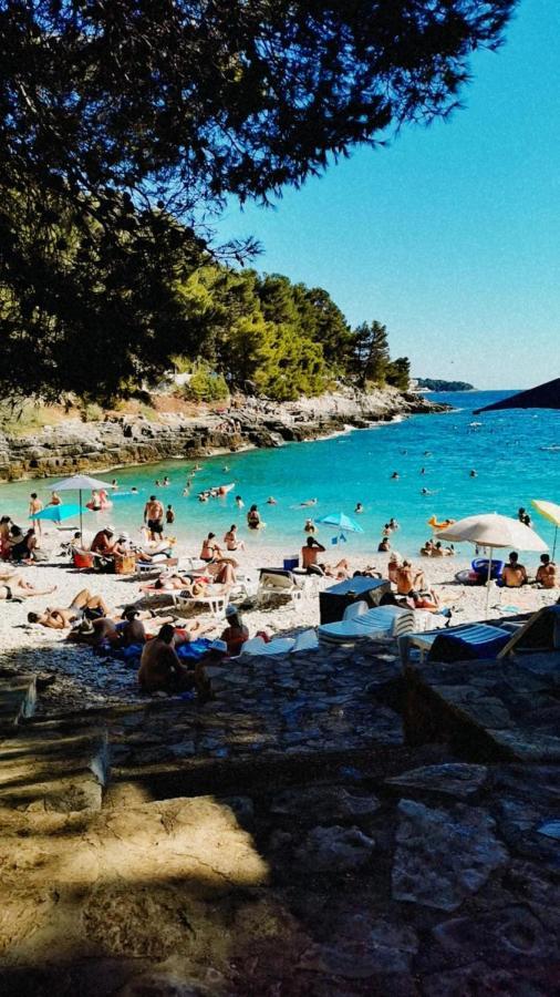 Apartmani Marco,Lukas,Patrick,David,Blizu Centra I Mora Sa Free Privatnim Parkingom Pula Luaran gambar