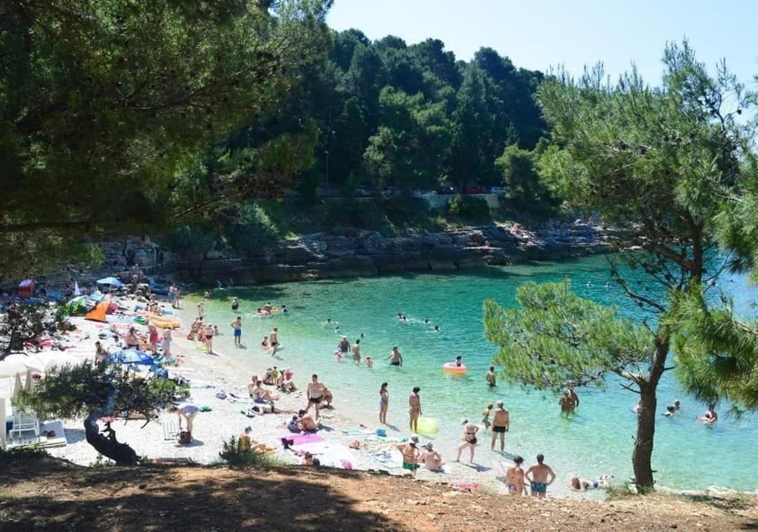 Apartmani Marco,Lukas,Patrick,David,Blizu Centra I Mora Sa Free Privatnim Parkingom Pula Luaran gambar